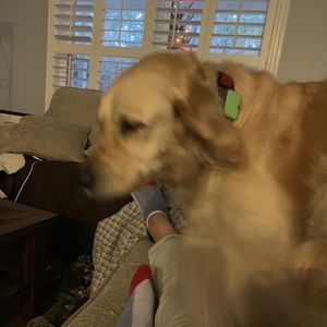 Meet your Posher, Charles